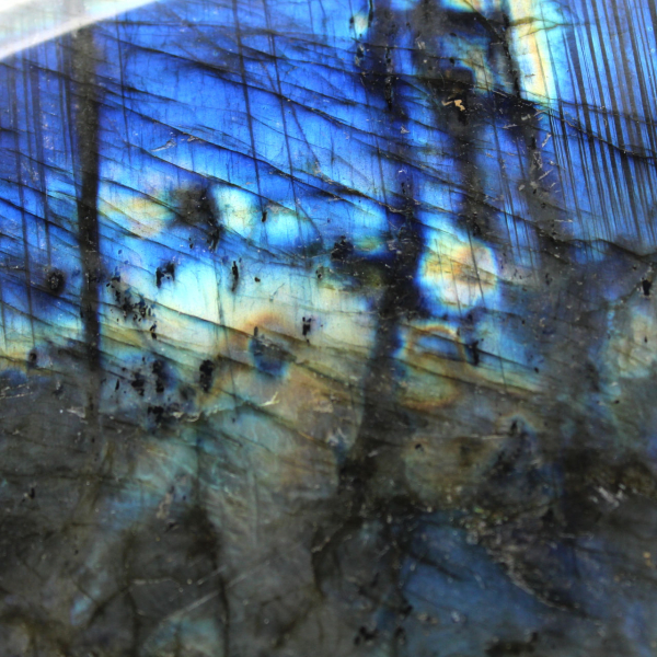 Grote, gepolijste labradoriet voor verzamelaars