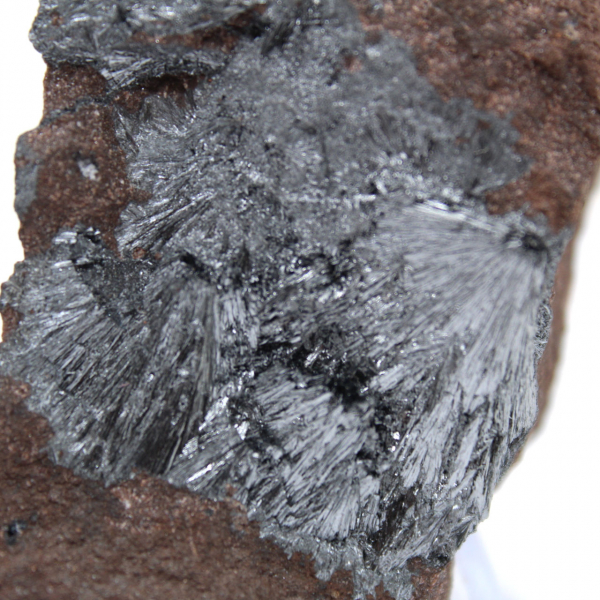 Kleine pyrolusietkristallen op een authentieke matrix