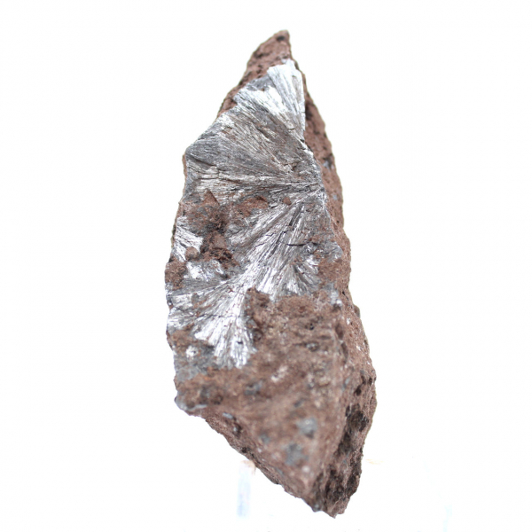 Ruwe pyrolusietkristallen, lang exemplaar