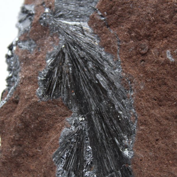 Authentieke pyrolusietkristallen op matrix