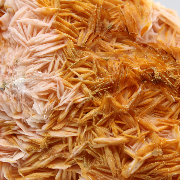 Oranje bariet uit Marokko met duidelijke kristallisatie.