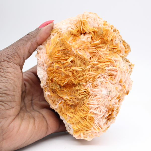 Oranje bariet uit Marokko met duidelijke kristallisatie.