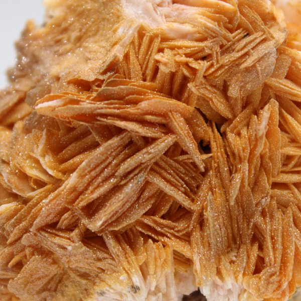 Compact oranje bariet exemplaar uit Marokko