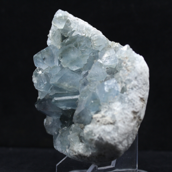 Grote Celestien Druse van Madagaskar