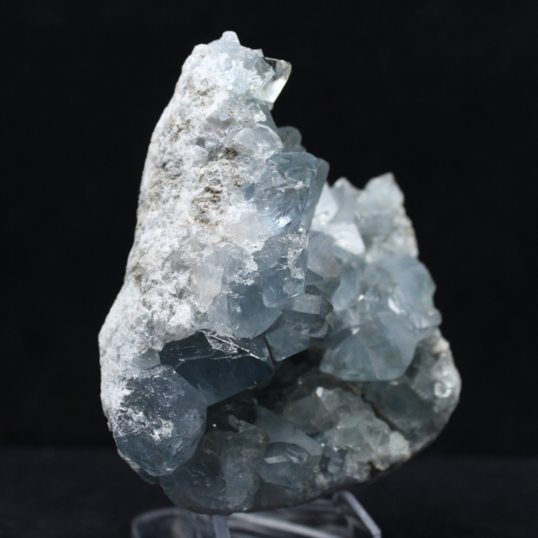 Grote Celestien Druse van Madagaskar