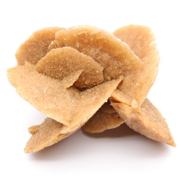 Kleine woestijnroos van Marokko: natuurlijk geologisch fragment