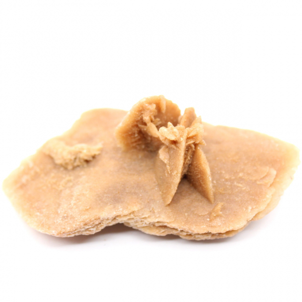 Kleine woestijnroos van Marokko: natuurlijk geologisch fragment