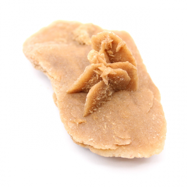 Exemplaar van een Marokkaanse woestijnroos: woestijngeometrie