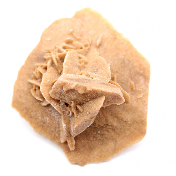 Kleine woestijnroos van Marokko: natuurlijk geologisch fragment