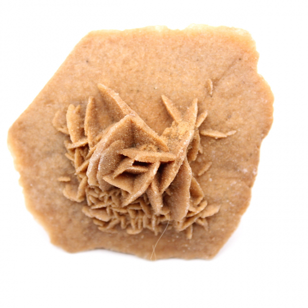 Gipsrozet uit Marokko: natuurlijk kristal uit de Sahara