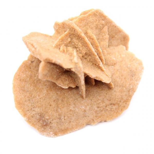 Mini Marokkaanse woestijnroos: een exemplaar van natuurlijk gips.