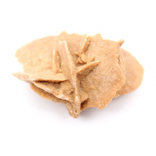 Mini Marokkaanse woestijnroos: een exemplaar van natuurlijk gips.