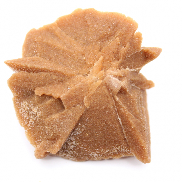 Klein fragment van een woestijnroos: een mineraal uit Marokko.