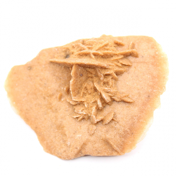 Lichte Marokkaanse woestijnroos: fijne kristallisatie