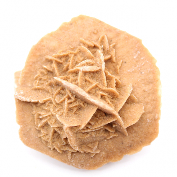 Kleine woestijnroos van Marokko: natuurlijk geologisch fragment