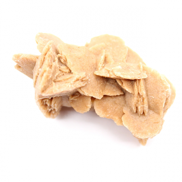 Exemplaar van gekristalliseerd gips: Woestijnroos van Marokko