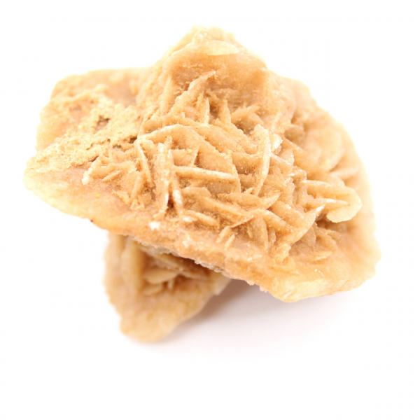 Marokkaanse woestijnroos: een enorme rozet voor verzamelaars.