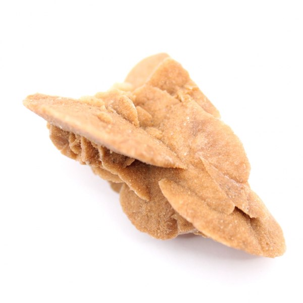 Kleine Marokkaanse woestijnroos: de stralende schoonheid van natuurlijk gips