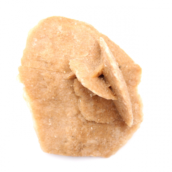 Minerale rozet van Marokko: gipskristallisatie