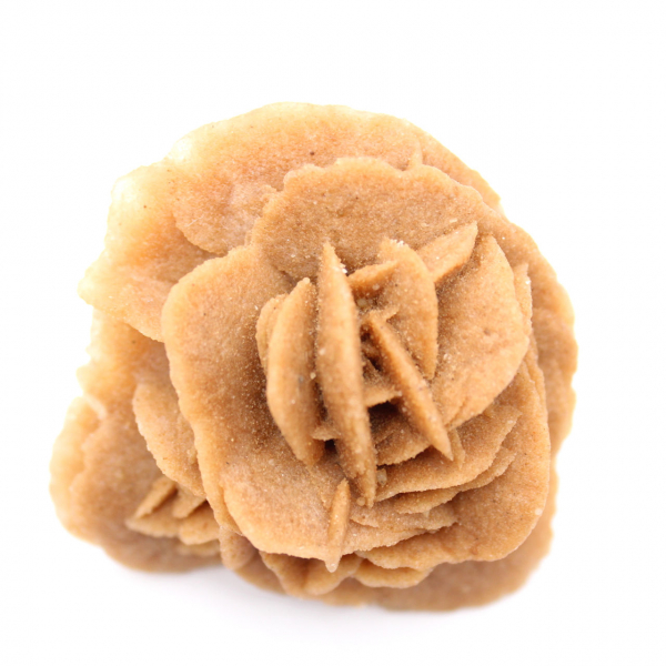 Marokkaanse woestijnroos: natuurlijk gipsboeket