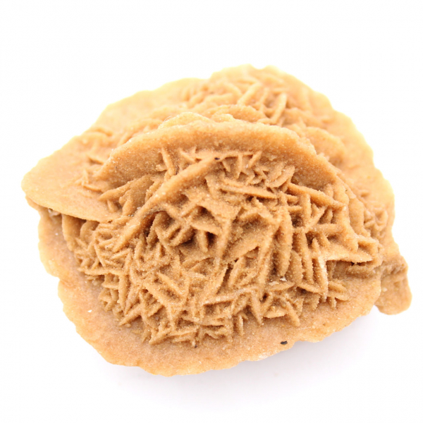 Exemplaar van Marokkaanse woestijnroos: dichte kristallisatie