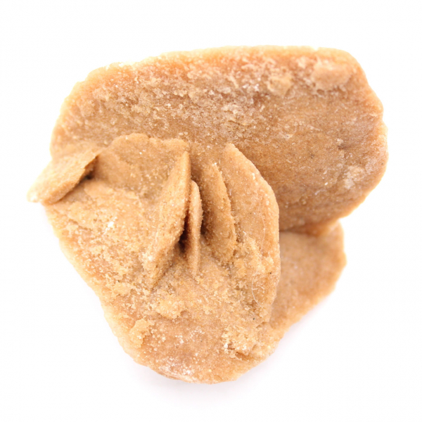 Woestijnroos van Marokko: de delicate gipskristallen