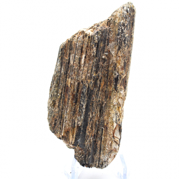 Zwarte toermalijn uit Madagaskar - Studie-exemplaar