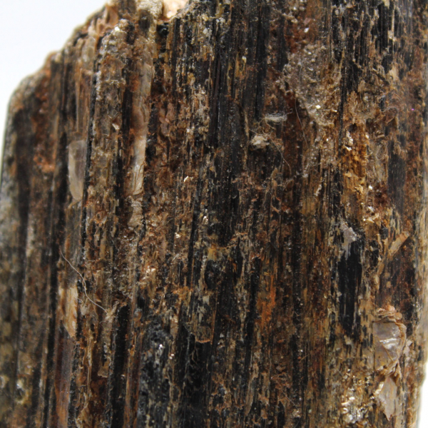 Zwarte toermalijn uit Madagaskar - Studie-exemplaar