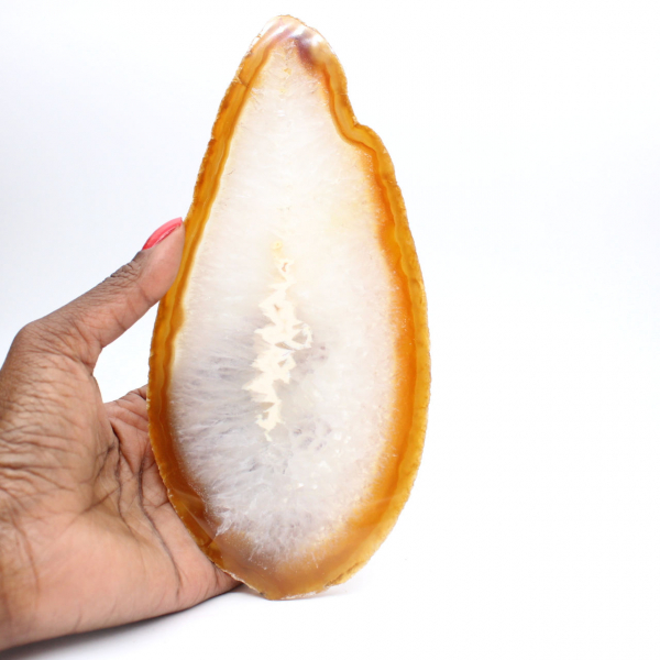 Exemplaar van gepolijste sedimentaire agaat