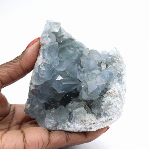 Grote Celestien Druse van Madagaskar