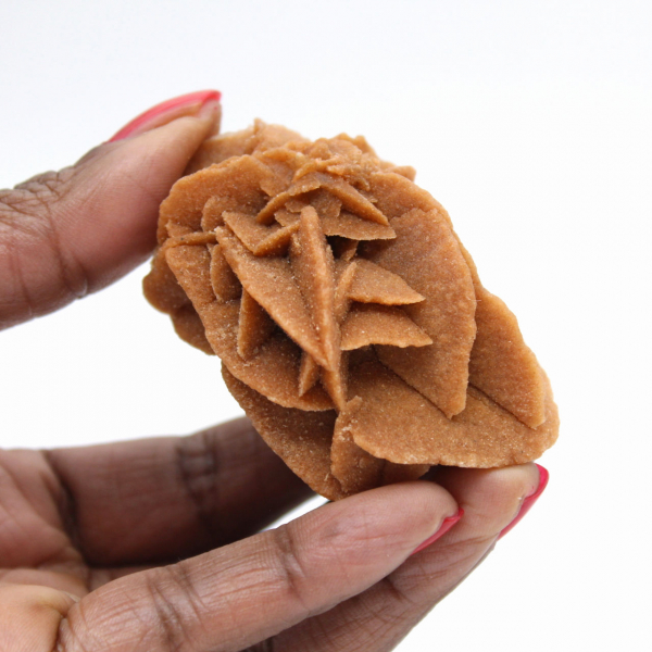 Marokkaanse woestijnroosformatie: verzamelaarsgips