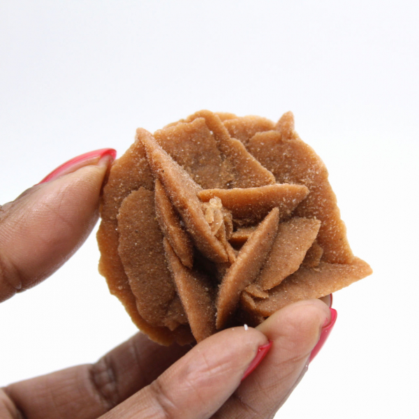 Klein fragment van een woestijnroos: een mineraal uit Marokko.