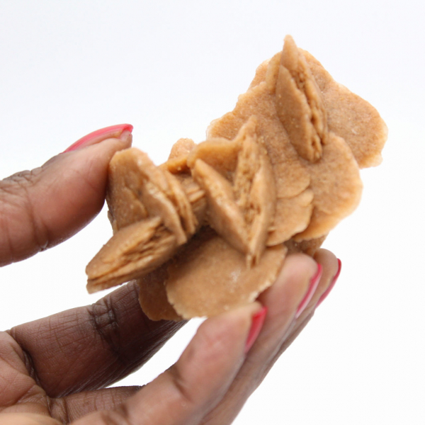 Exemplaar van gekristalliseerd gips: Woestijnroos van Marokko