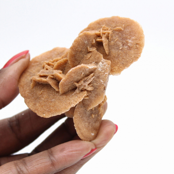 Kleine Marokkaanse woestijnroos: de stralende schoonheid van natuurlijk gips