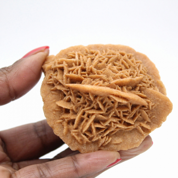 Exemplaar van Marokkaanse woestijnroos: dichte kristallisatie