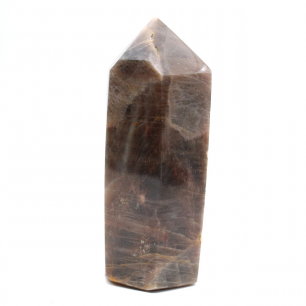 Microcline Collectie Prisma - Intense Zwarte Maansteen