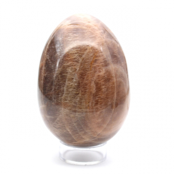 Zwarte maansteen - Microklien ei 455 g