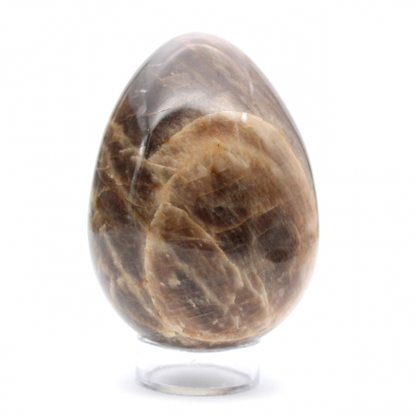 Zwarte maansteen - Microklien ei 455 g