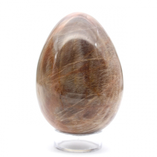 Zwart maansteen ei 355g - Madagascar