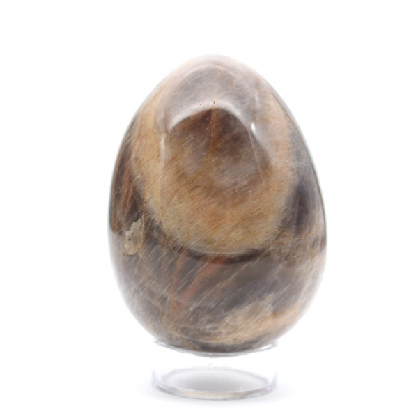 Zwarte maansteen microklien ei