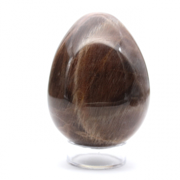 Zwart maansteen ei - Microklien