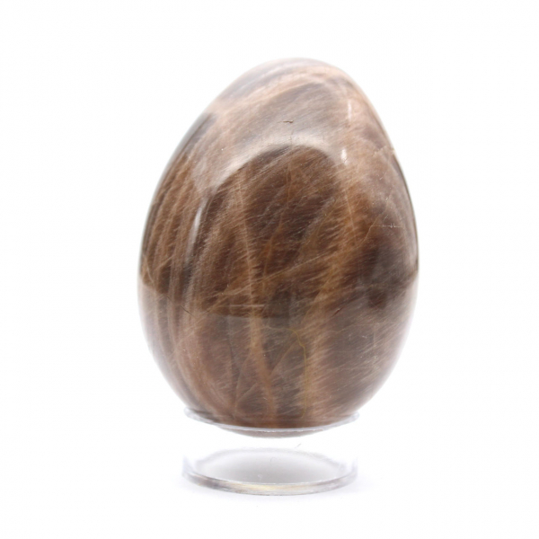 Zwart Madagaskar Microcline Ei 235g