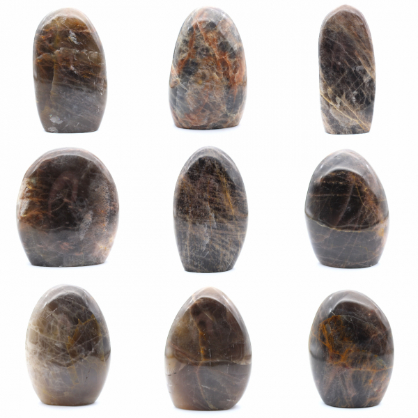 Sierlijke microklien