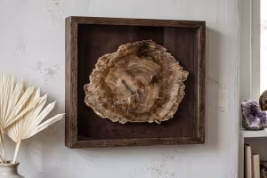 Versteend hout
