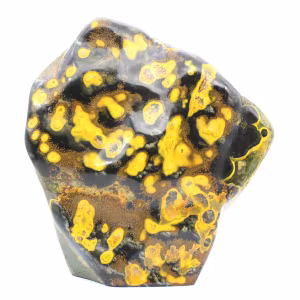Hommel Jasper
