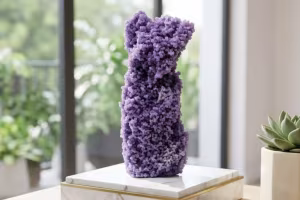 Chalcedoon cluster