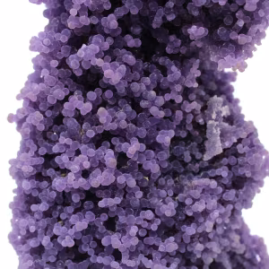 Chalcedoon cluster