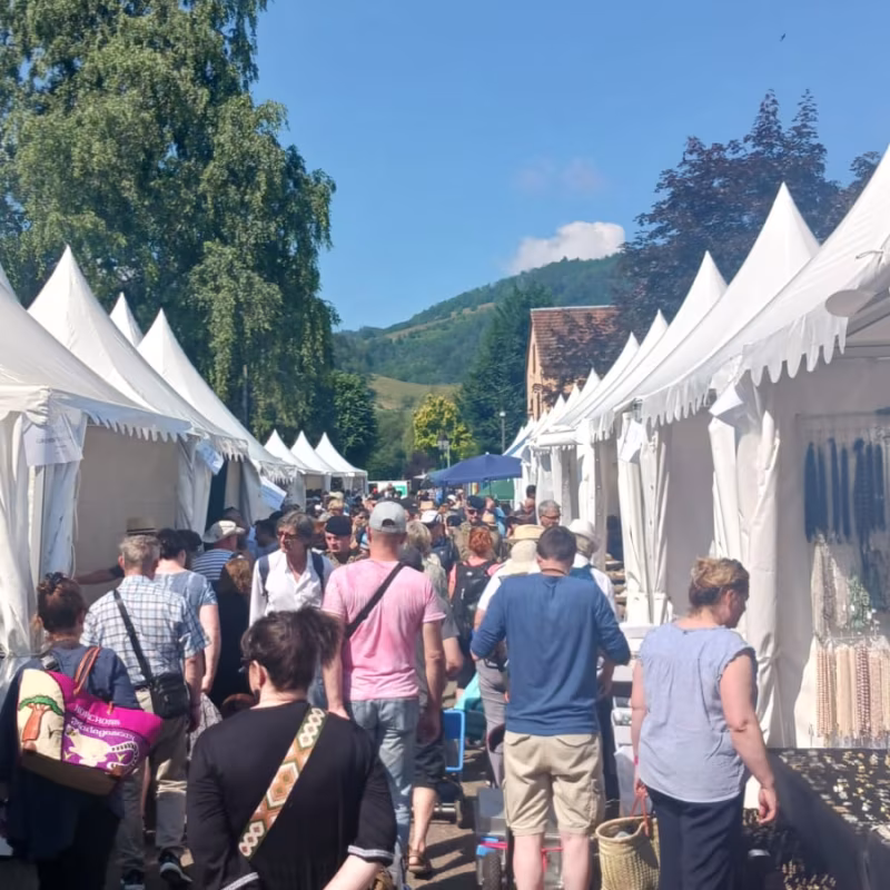 Mineral & Gem 2025: een grote internationale mineralogische tentoonstelling allee smam 2025 2