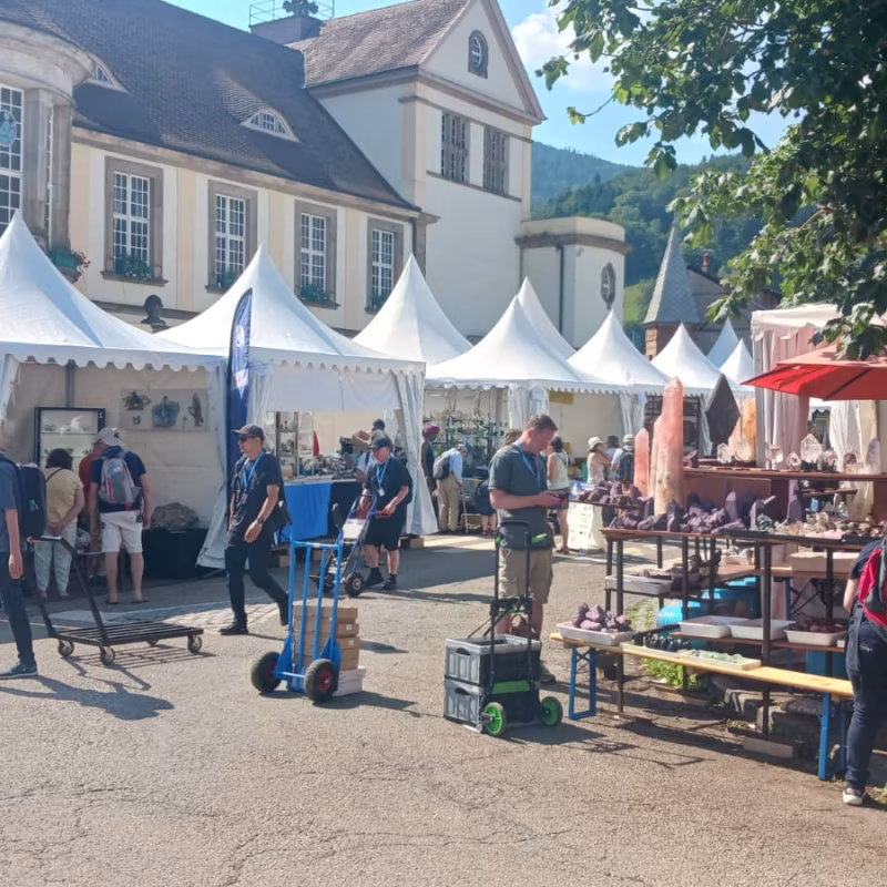 Mineral & Gem 2025: een grote internationale mineralogische tentoonstelling allee smam 2025 5