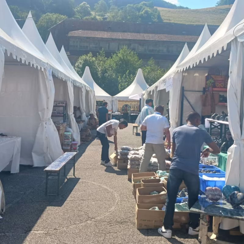 Mineral & Gem 2025: een grote internationale mineralogische tentoonstelling allee smam 2025 6